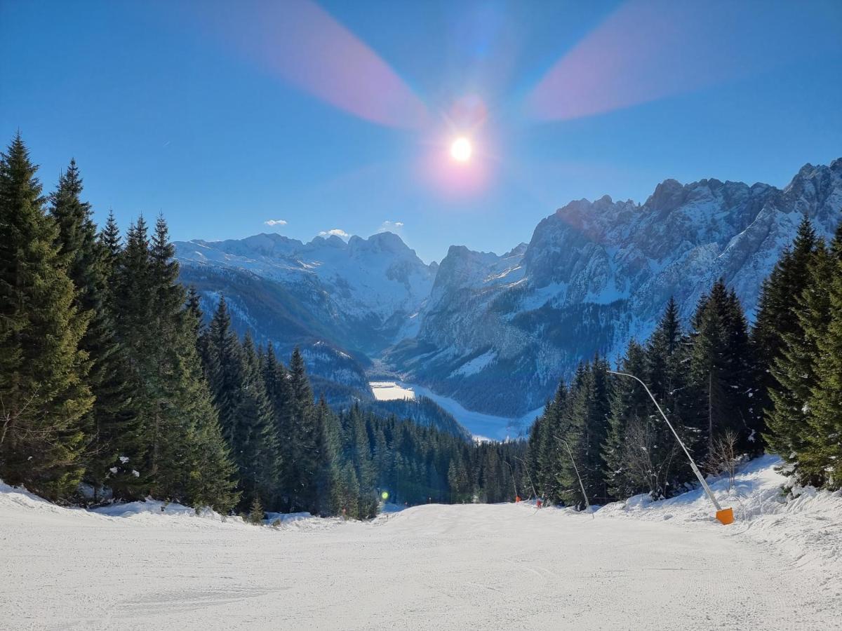 Bergkristall Villa Gosau Bagian luar foto